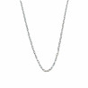 Necklace stainless steel silver plated small links