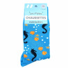 Chaussettes hippocampes et coquillages