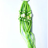 Bracelets exotiques Vert N°503