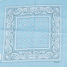 Light blue bandana