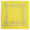 copy of Bandana arancione