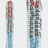 Tube trendy bracelets GA1737