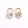 Gold-plated stainless steel star rhinestone earrings